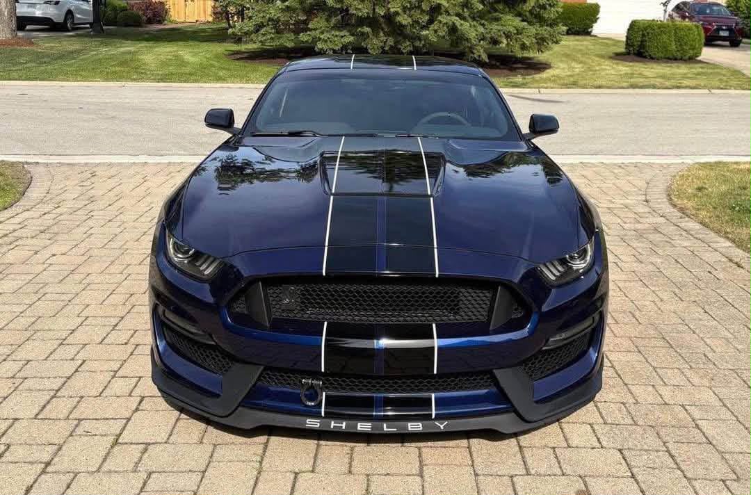 Ford Mustang - Kona Metallic