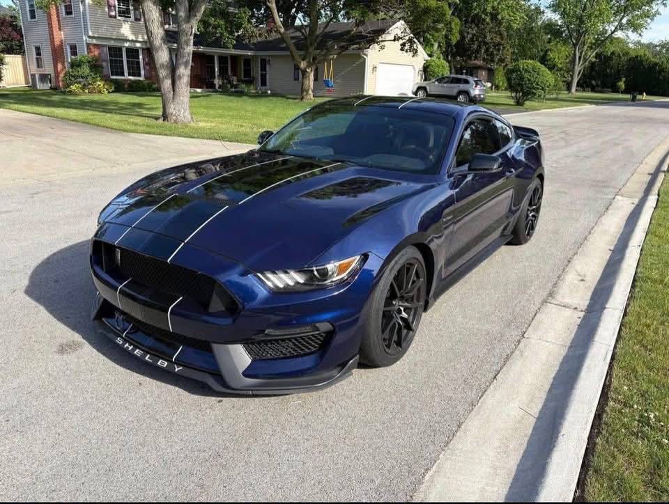 Ford Mustang - Kona Metallic - Image 5