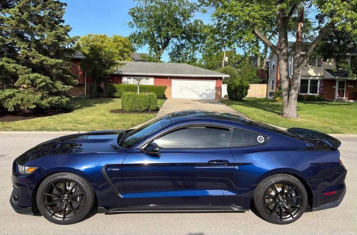 Ford Mustang - Kona Metallic - Image 6